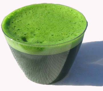 Glass Of Barley Grass