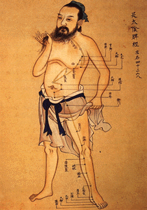 Acupuncture Chart