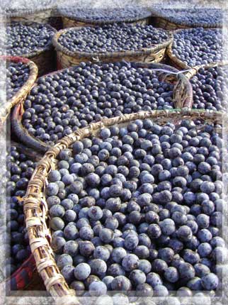 acai berries