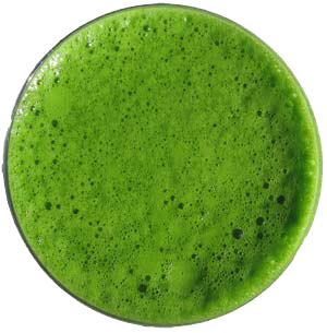 Glass Of Barley Grass 