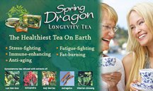 Spring Dragon