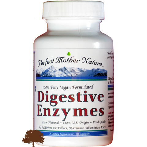 Digestive Enzymes Image