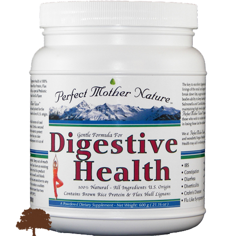 Digestive Health Image