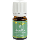 Angelica Essential Oil - 5ml